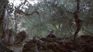 They Cannot Let It Expand