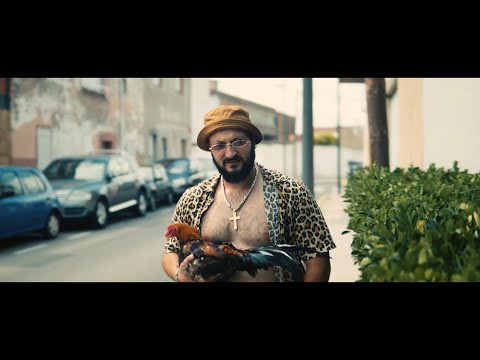 Gallo de Pelea - Berna Amaya (Videoclip Oficial)