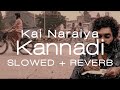 Kai Naraiya Kannadi Slowed Reverb ATTU R K Suresh Bobo Shashi