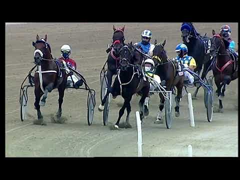 Napoli Trotto 05/06/2021 - 2ª corsa