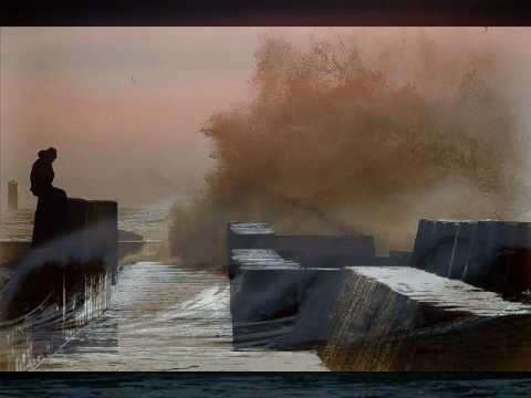 VOYAGEURS DU CIEL ET DE LA MER (2011) - Bruno Coulais - Soundtrack Suite