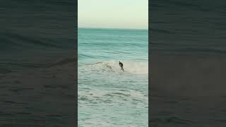 Surfing in Gisborne New Zealand!