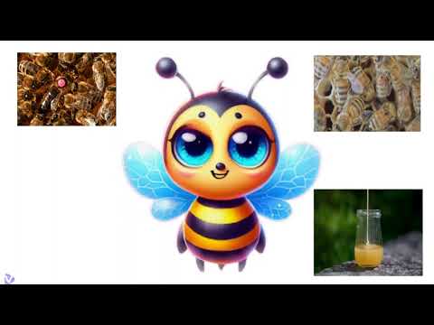 Das Leben der Honigbienen - So funktioniert ein Bienenstock - Erklärvideo