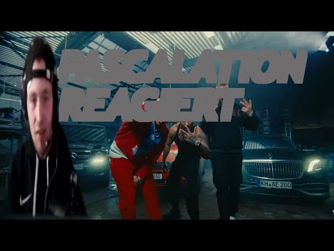 MAJOE & FARID BANG & KOLLEGAH BA3T REACTION BALLERT MIES