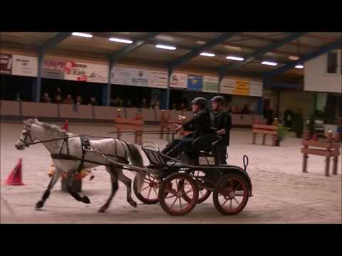 Desiree van Lambalgen winnaar Bathmen te Paard 2017 met Jeffrey 1e prijs