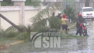 Árboles y postes eléctrico derribados por los vientos en Bávaro