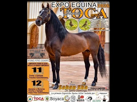 Exposición Equina Grado B - TOCA BOYACÁ 2026 día 1