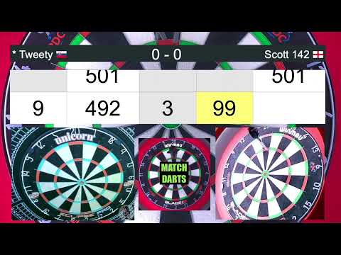13 Darter On Webcam Darts