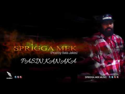 Sprigga Mek - PASIN KANAKA  (Prod by Bata Jakes)