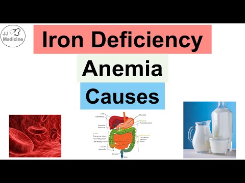 Causes of Iron-Deficiency Anemia | Dietary, Losses & Utilization