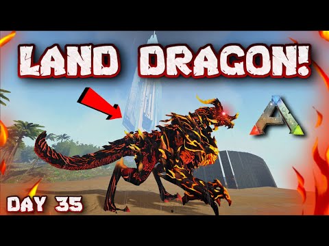 Download Royal Dragon Part 12 3 And 4 3gp Mp4 Codedwap