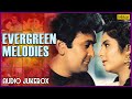 Evergreen Melodies | 90'S Romantic Love Songs | Unforgettable Melodies | JUKEBOX | 90's Hindi Songs