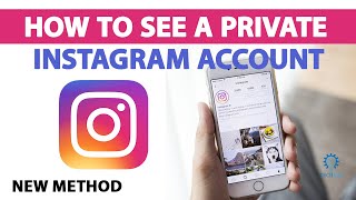 How to See a Private Instagram Account 2024 [New Method]