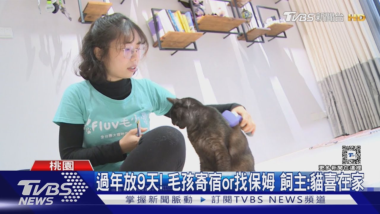 過年放9天！　毛孩寄宿or找保姆　飼主：貓喜在家