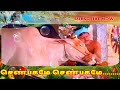 SHENBAGAME SHENBAGAME MALE ENGA OORU PAATTUKARN 5 1 AUDIO
