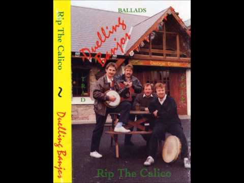 rip the calico. Star of the County Down.wmv