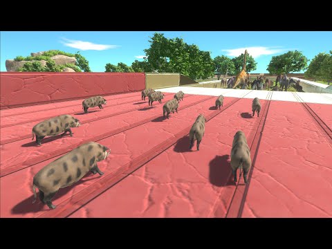 Escape from MAD WILD BOARS - Animal Revolt Battle Simulator