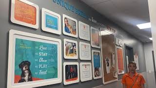 Dogtopia of Town Center Tour