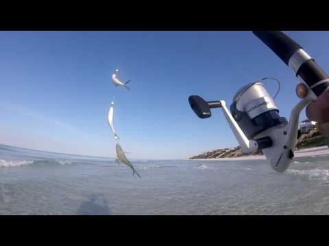 download lagu mp3 mp4 Seaside Florida Fishing, download lagu Seaside Florida Fishing gratis, unduh video klip Seaside Florida Fishing