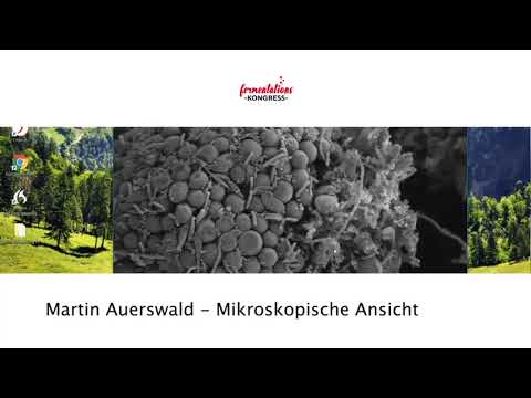 Kombucha Wirkungen auf Gesundheit  l Fermentationskongress 2018