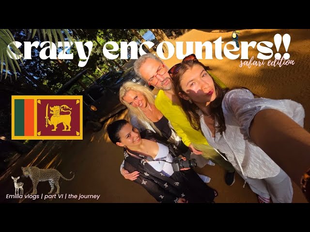 Travel vlog - Chased on Safari?😳 | vlog 6, part 2| The Journey