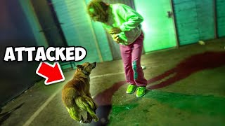 Download lagu Trolling BROCK FOR 24HRS (0G PRANK!) mp3 Download lagu Trolling BROCK FOR 24HRS (0G PRANK!) mp3