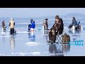 Amazing Giant Fish Fishing Skill in the ice river - Amazing Fish Catching Net Under Ice I Never Seen