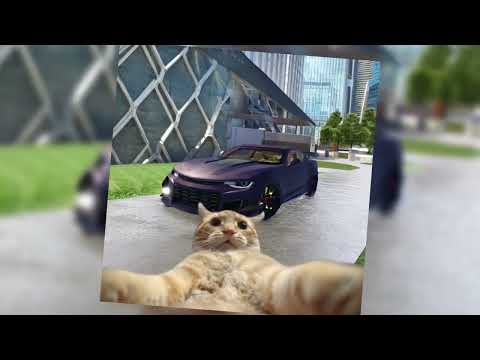 TRETA DO DJ LORRAN - MC Rose e MC Alef