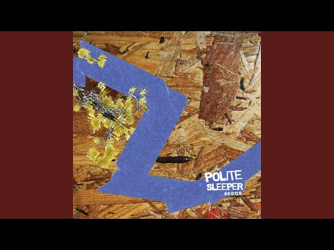 Not a Lover Yet - Polite Sleeper