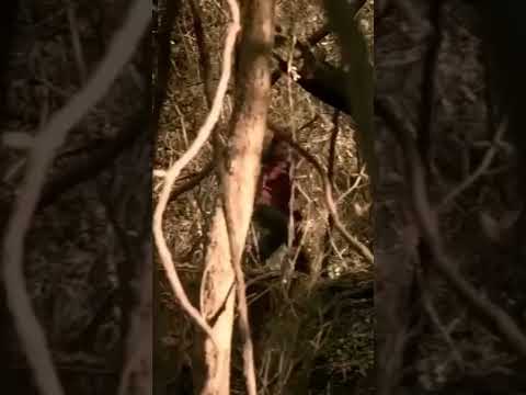 Casa Escura #horrorstories #shortfilm #suspense #film #filmes #terror #slasher #filmedeterror2023