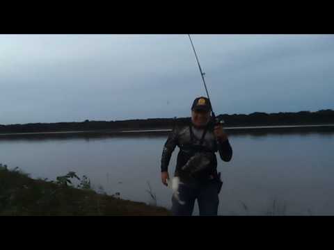 Locos por la pesca Alvear Ctes  Episodio 11