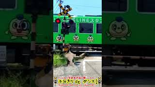 踏切動画 100【ふみきり 鉄道】【電車】【踏切ダンス】【踏切アニメ】「ふみきりdeダンス」　Japanese railroad crossing animation.