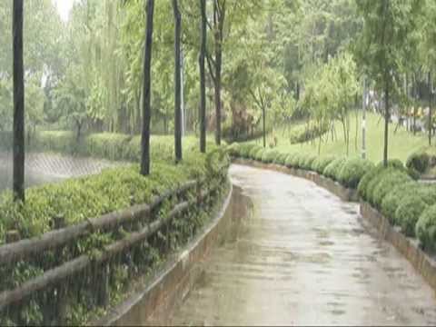May Nasr    Listen To The Falling Rain cover  Jose Feliciano with lyrics)