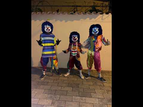 Os rouba cena - Tacabilidade das solteiras