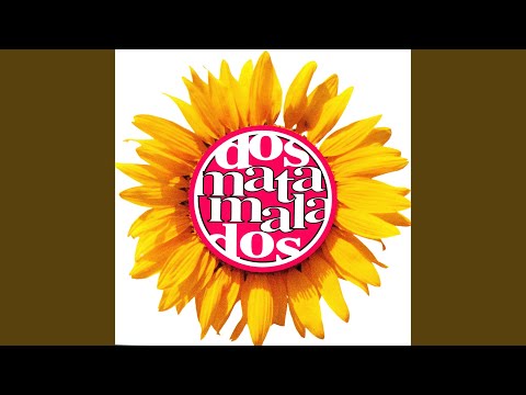 L'exprés de mitjanit