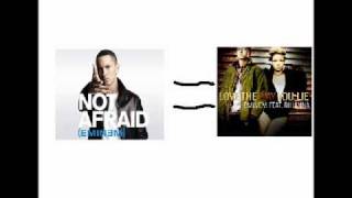 Love the Way You Lie and Not Afraid Are the SAME!!!