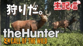 【The Hunter】初心者ハンターののんびり狩猟配信！