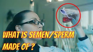 What is Semen made of? Sperm or Semen