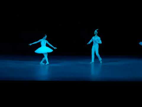 Ekaterina Krysanova and Semyon Chudin in ballet Bayadere