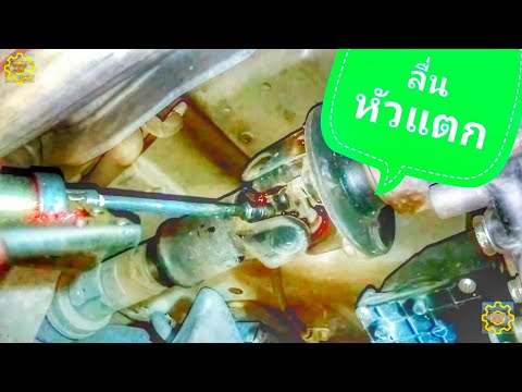 แอพลิเคชันโสมแรง ปากเล็กกระเจี๊ยวใหญ่