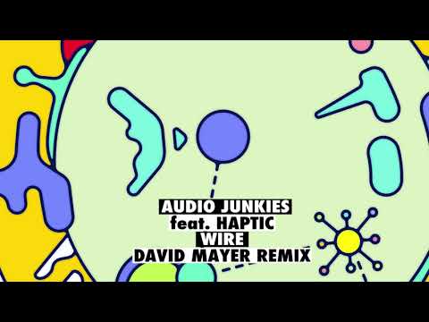 Audio Junkies, Haptic - Wire (David Mayer Remix)