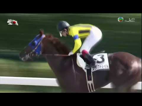 2016 Japan 3YO And Up Allowance - Swift Raid (迅雷突襲) - Y.Fukunaga