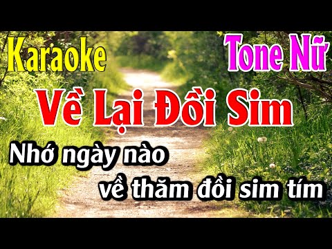 Về Lại Đồi Sim Karaoke Tone Nữ Karaoke Lâm Organ - Beat Mới