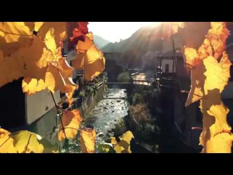 Ričma Rimač - Tko je to