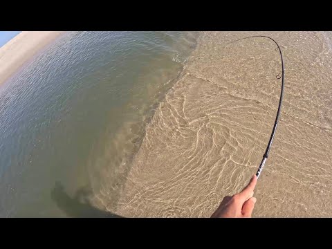 Soft Structure Part 1 - Understanding Sandbars - Fluke Fishing from Shore!