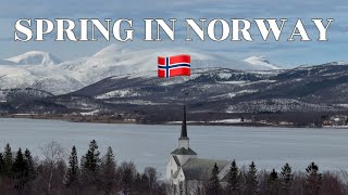 This Is What Early Spring Looks Like In The North Of Norway