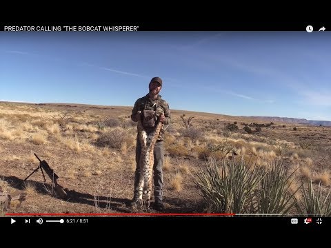 PREDATOR CALLING "THE BOBCAT WHISPERER"