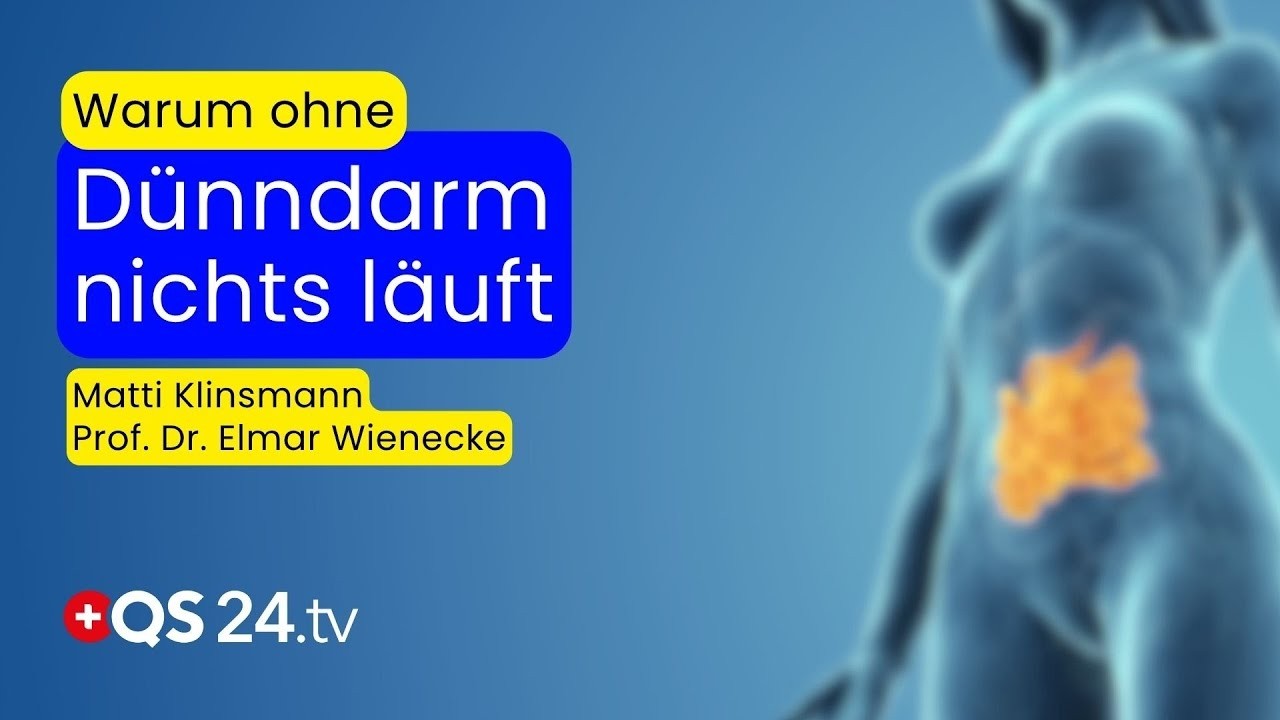 Warum dein Dünndarm der Schlüssel zu mehr Gesundheit und Energie sein kann | QS24 Gremium