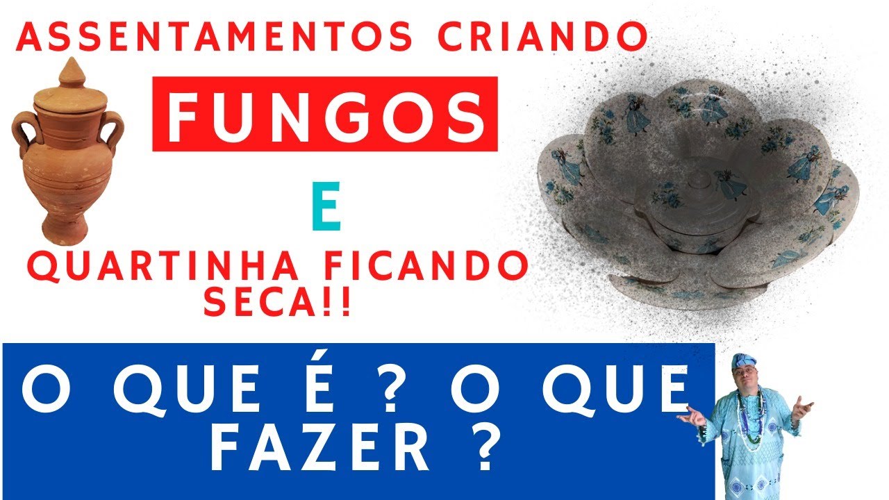 Assentamentos criando fungos e quartinha ficando seca!! o que é ?  o que fazer ? # 133