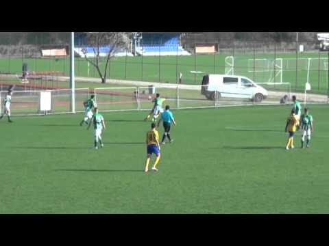 PFLA FTC 6 0 U97 U17 201310 FULL